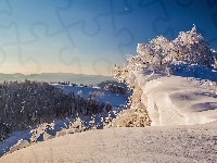 Góry, Zima, Lasy