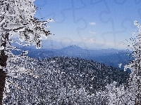 Zima, Drzewa, Szczyt, Góry, Stok