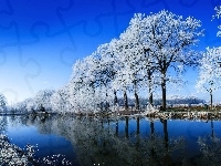 Jezioro, Zima, Drzewa
