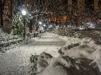 Zima, Central Park, Nowy Jork, USA