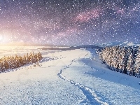 Karpaty, Zima, Niebo, Drzewa, Ukraina, Las, Gwiaździste