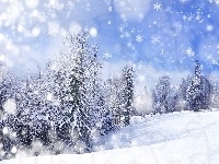 Zima, Drzewa, Śnieg, Gwiazdki
