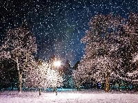 Zima, Drzewa, Śnieg, Park