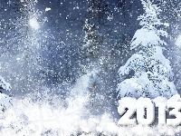 Zima, Rok, Drzewa, Śnieg, Nowy