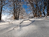 Zima, Park