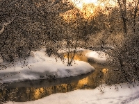 Park, Rzeka, Rosja, Drzewa. Śnieg, Moskwa, Churilikha, Zima