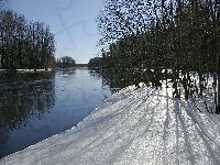Rzeka, Zima, Drzewa