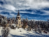 Zima, Castelul Peleş, Pałac Peles, Miejscowość Sinaia, Drzewa, Rumunia