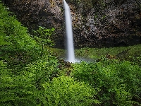 Stan Waszyngton, Stany Zjednoczone, Columbia River Gorge, Skała, Roślinność, Rezerwat przyrody, Wodospad, Paprocie
