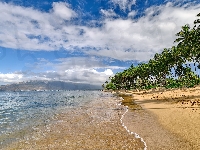 Plaża, Hawaje, Stany Zjednoczone, Maui, Palmy, Morze