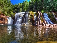 Zjednoczone, Rzeka, Wodospad, Stany, Las