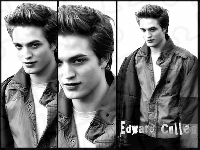 Zmierzch, Edward Cullen, Robert Pattinson