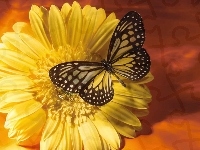 Kwiat, Zółty, Motyl