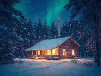 Zima, Drzewa, Dom, Zorza polarna, Las