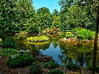 Zieleń, Park, Staw, Żurawie