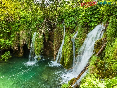 Wodospad, Chorwacja, Park Narodowy Jezior Plitwickich, Roślinność