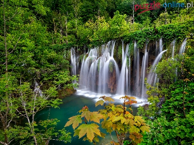 Park Narodowy Jezior Plitwickich, Lasy, Wodospad, Chorwacja, Drzewa