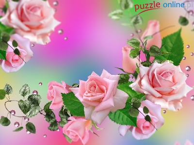 Różowe, Róże, Kwiaty, 2D, Grafika