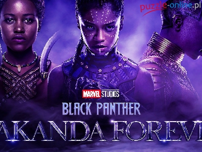 Film, Czarna pantera Wakanda w moim sercu, Black Panther Wakanda Forever, Plakat, Postacie